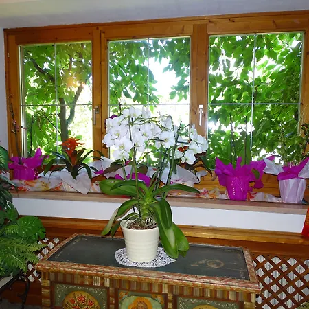 Bed and Breakfast Rainhof