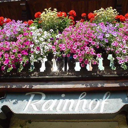 فندق مبيت وإفطار Rainhof 3*