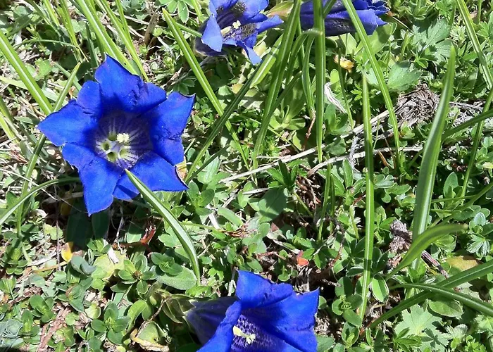 Bed & Breakfast Rainhof 4*