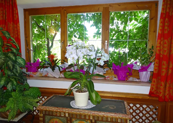 Bed & Breakfast Rainhof