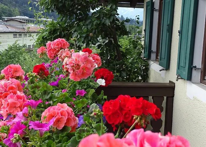 Rainhof Bed & Breakfast