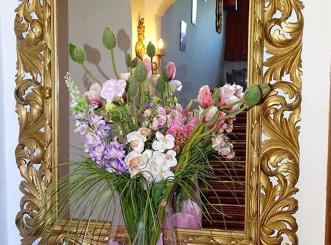 Bed and Breakfast Rainhof Κίτσμπουελ