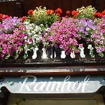 Bed & Breakfast Rainhof 3*